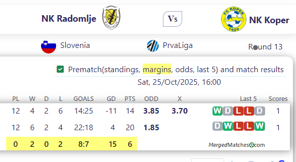 NK Radomlje Vs NK Koper screenshot