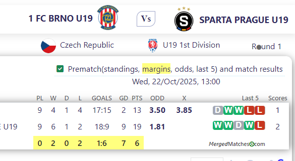 1 FC BRNO U19 Vs SPARTA PRAGUE U19 screenshot