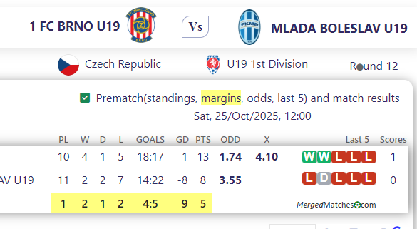 1 FC BRNO U19 Vs MLADA BOLESLAV U19 screenshot
