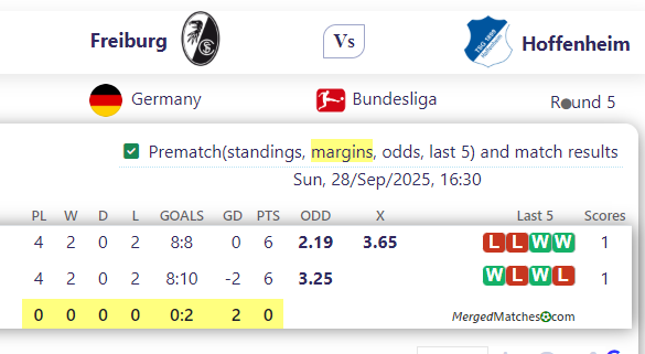Freiburg Vs Hoffenheim screenshot