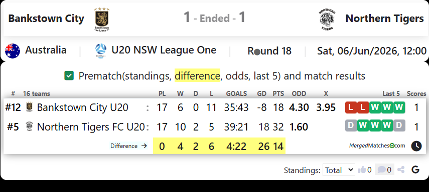 Bankstown City FC Vs Northern Tigers FC screenshot