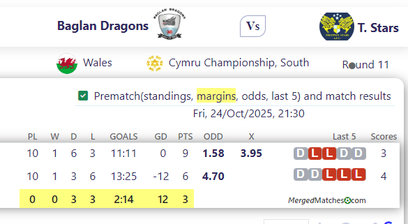 Baglan Dragons Vs T. Stars screenshot