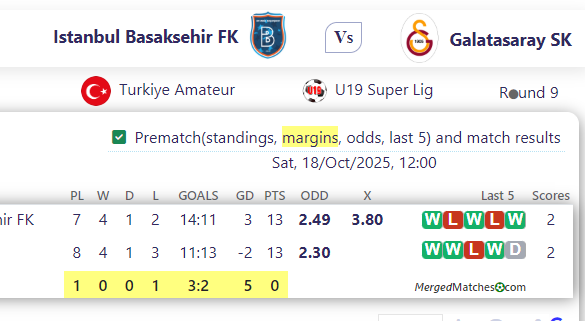 Istanbul Basaksehir FK Vs Galatasaray SK screenshot