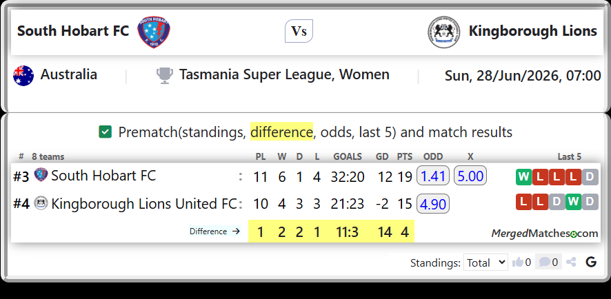 South Hobart FC Vs Kingborough Lions United FC screenshot
