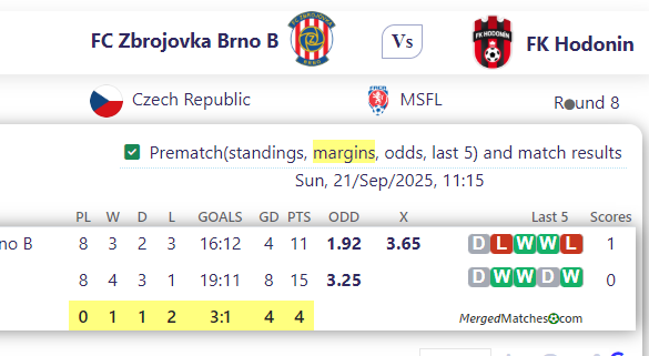 FC Zbrojovka Brno B Vs FK Hodonin screenshot