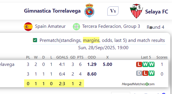 Gimnastica Torrelavega Vs Selaya FC screenshot