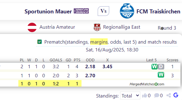 Sportunion Mauer Vs FCM Traiskirchen screenshot