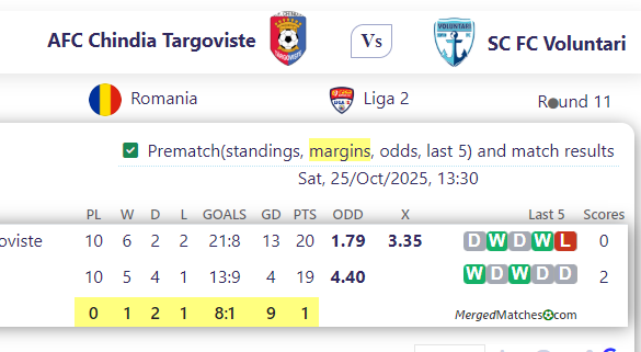 AFC Chindia Targoviste Vs SC FC Voluntari screenshot