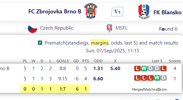 FC Zbrojovka Brno B Vs FK Blansko screenshot