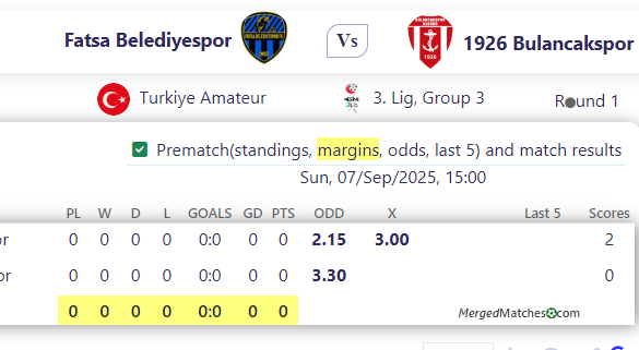 Fatsa Belediyespor Vs 1926 Bulancakspor screenshot