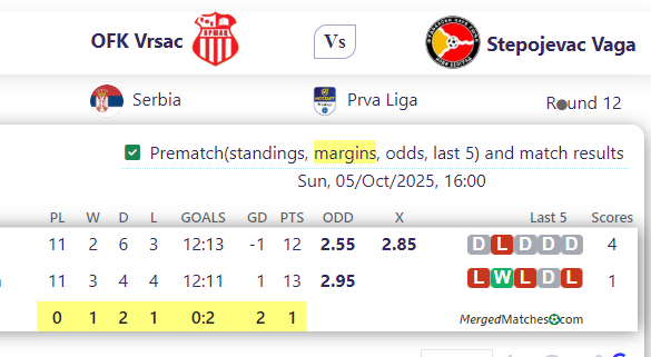 OFK Vrsac Vs Stepojevac Vaga screenshot