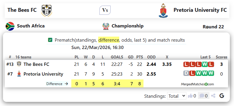 The Bees FC Vs Pretoria University FC screenshot