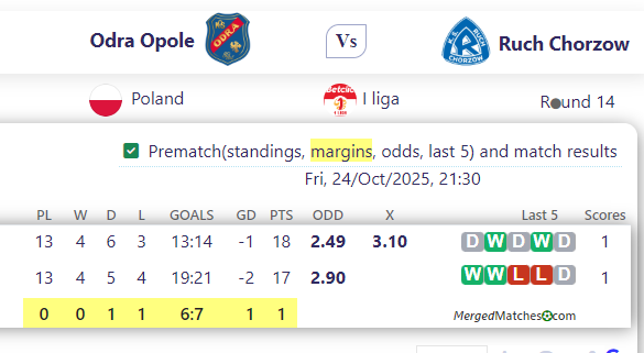 Odra Opole Vs Ruch Chorzow screenshot