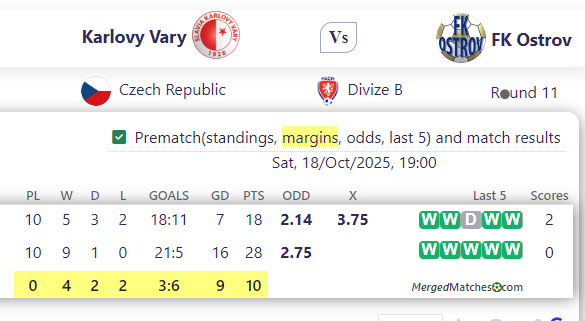 Karlovy Vary Vs FK Ostrov screenshot