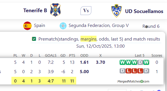 Tenerife B Vs UD Socuellamos screenshot