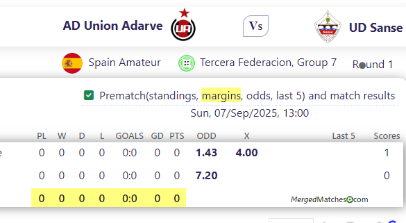 AD Union Adarve Vs UD Sanse screenshot