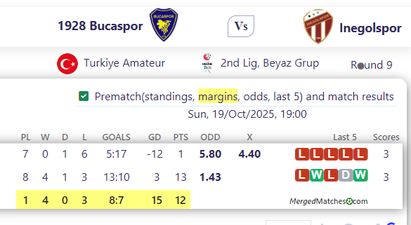 1928 Bucaspor Vs Inegolspor screenshot