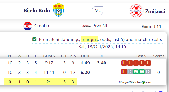 Bijelo Brdo Vs Zmijavci screenshot