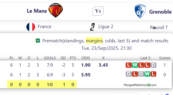 Le Mans Vs Grenoble screenshot