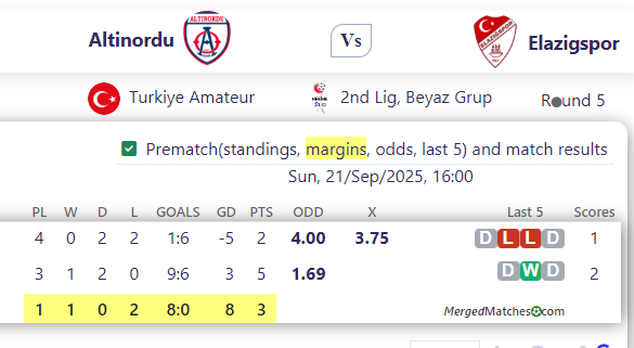 Altinordu Vs Elazigspor screenshot