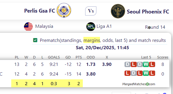 Perlis Gsa FC Vs Seoul Phoenix FC screenshot