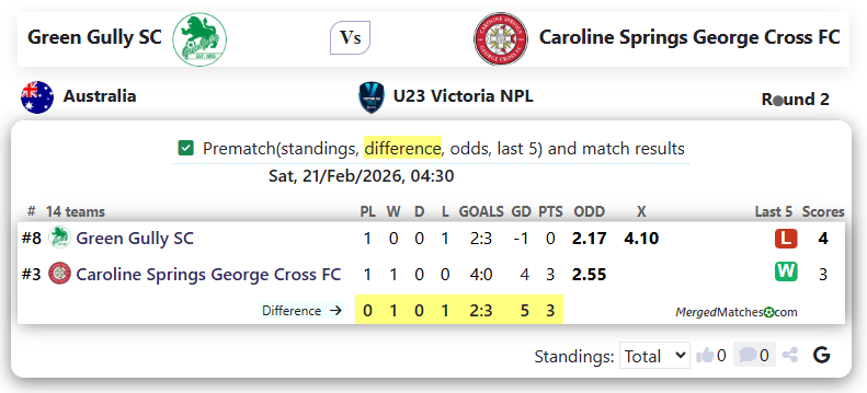 Green Gully SC Vs Caroline Springs George Cross FC screenshot