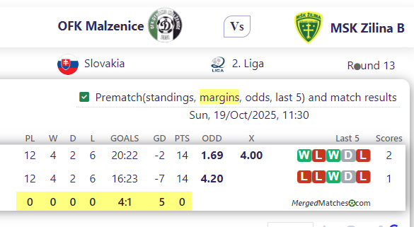 OFK Malzenice Vs MSK Zilina B screenshot