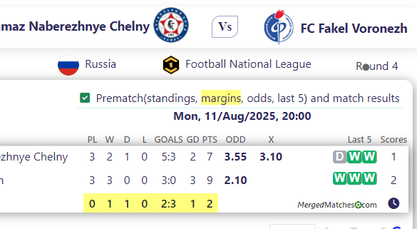 FC Kamaz Naberezhnye Chelny Vs FC Fakel Voronezh screenshot