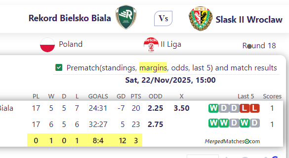 Rekord Bielsko Biala Vs Slask II Wroclaw screenshot