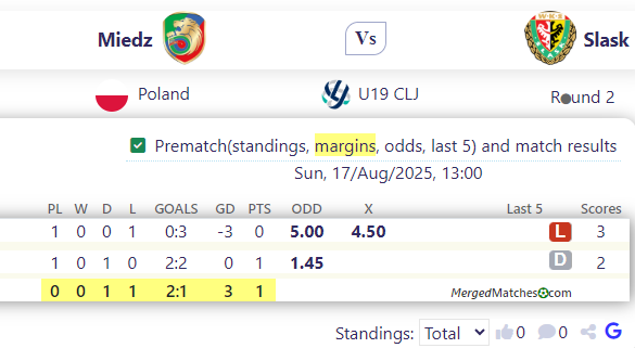 Miedz Vs Slask screenshot