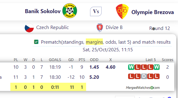 Banik Sokolov Vs Olympie Brezova screenshot