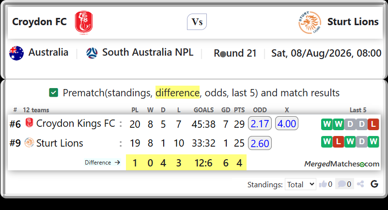 Croydon Kings FC Vs Sturt Lions screenshot