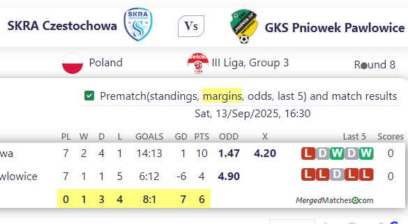 SKRA Czestochowa Vs GKS Pniowek Pawlowice screenshot