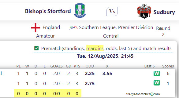 Bishop's Stortford Vs Sudbury screenshot