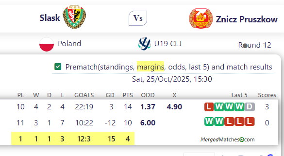 Slask Vs Znicz Pruszkow screenshot