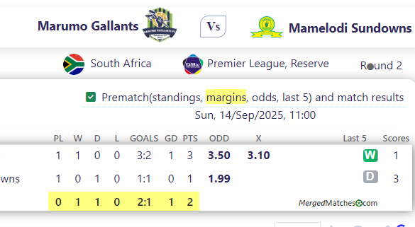 Marumo Gallants Vs Mamelodi Sundowns screenshot