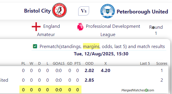 Bristol City Vs Peterborough United screenshot