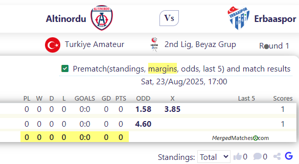 Altinordu Vs Erbaaspor screenshot