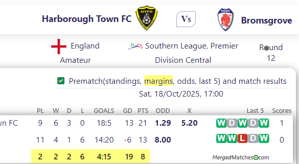 Harborough Town FC Vs Bromsgrove screenshot