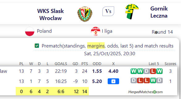 WKS Slask Wroclaw Vs Gornik Leczna screenshot