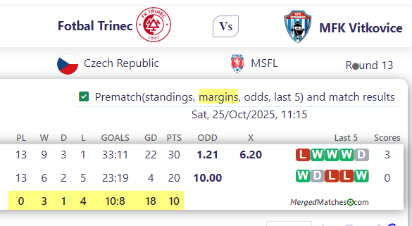 Fotbal Trinec Vs MFK Vitkovice screenshot