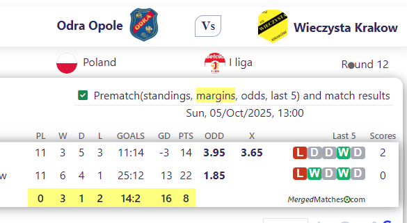 Odra Opole Vs Wieczysta Krakow screenshot