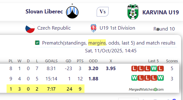 Slovan Liberec Vs KARVINA U19 screenshot