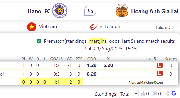 Hanoi FC Vs Hoang Anh Gia Lai screenshot