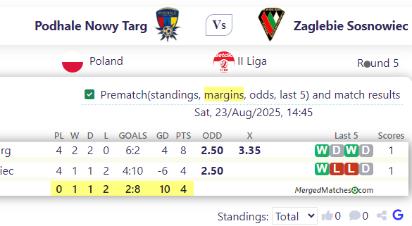 Podhale Nowy Targ Vs Zaglebie Sosnowiec screenshot