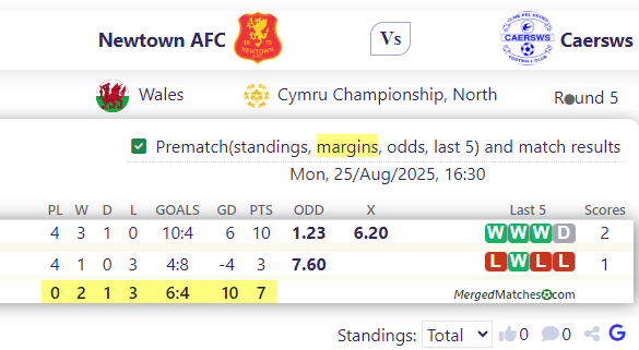 Newtown AFC Vs Caersws screenshot