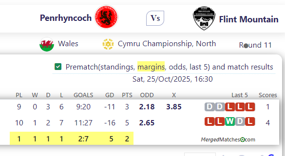 Penrhyncoch Vs Flint Mountain screenshot