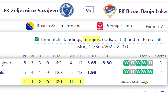 FK Zeljeznicar Sarajevo Vs FK Borac Banja Luka screenshot