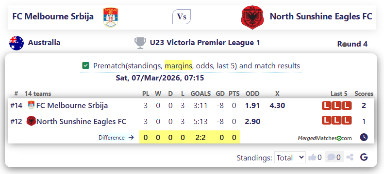 FC Melbourne Srbija Vs North Sunshine Eagles FC screenshot