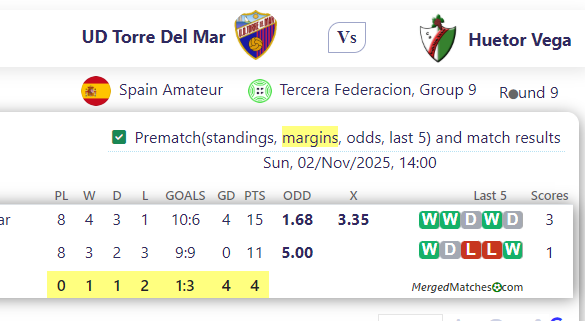 UD Torre Del Mar Vs Huetor Vega screenshot